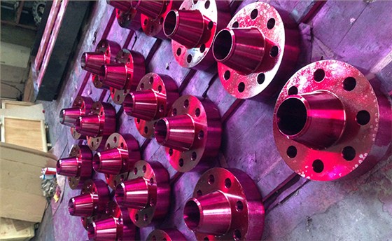 核电合金法兰案例